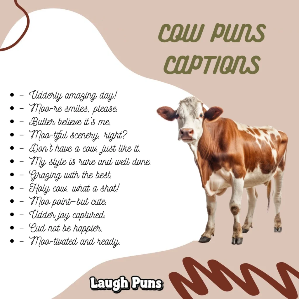 Cow Puns Captions