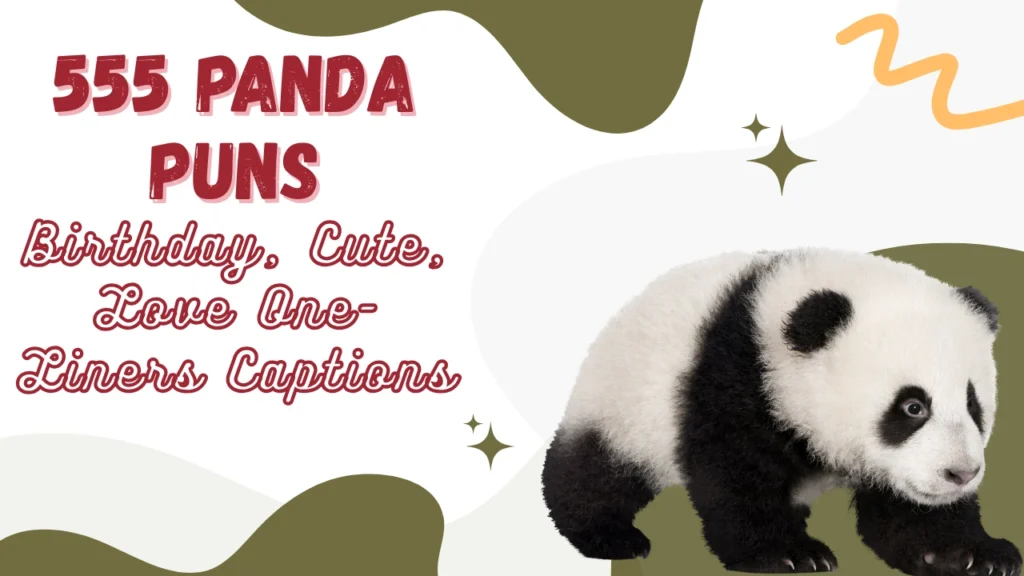 Panda Puns