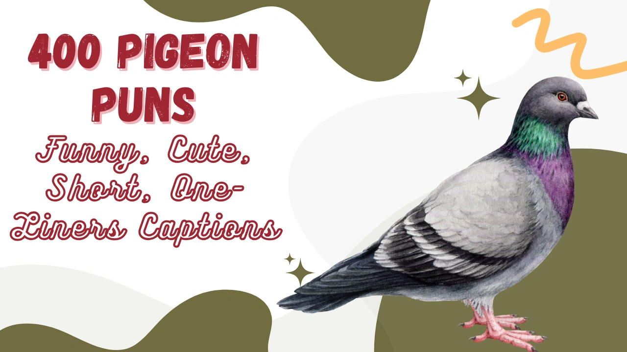 Pigeon Puns