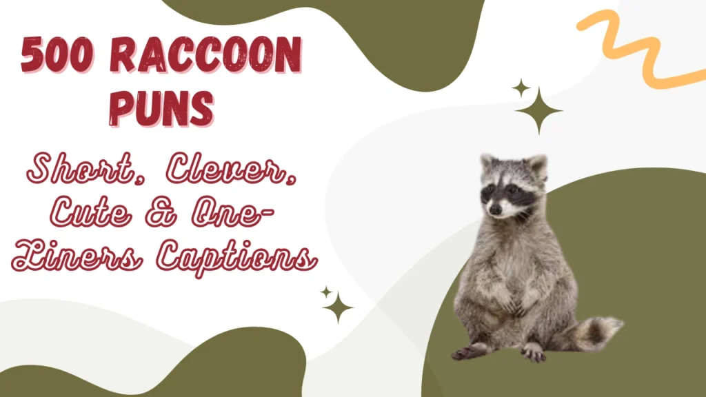 Raccoon Puns