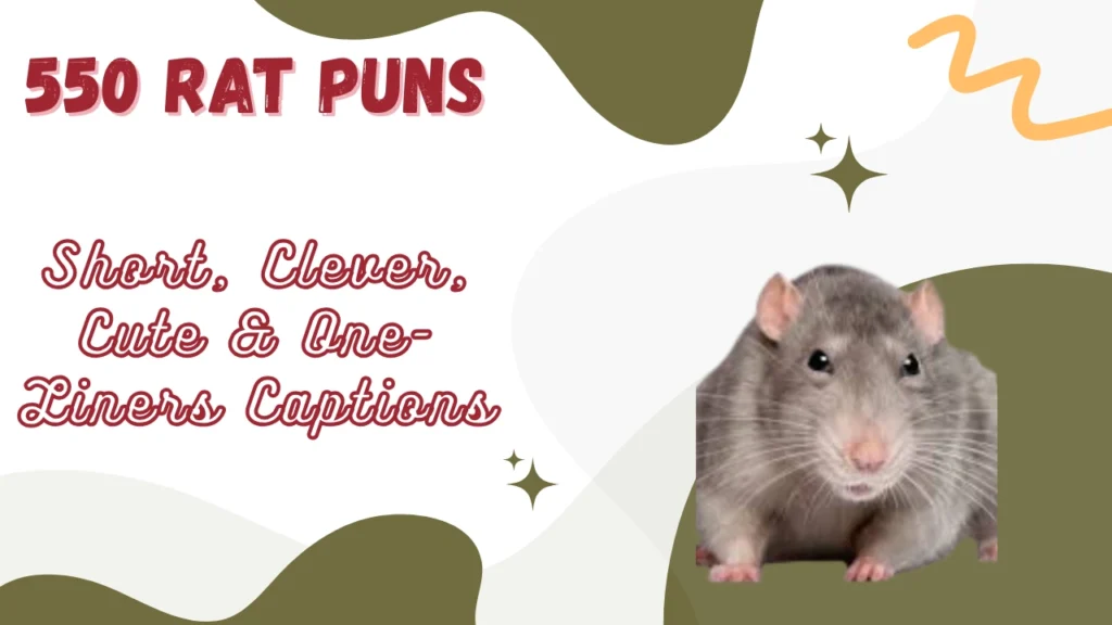 Rat Puns