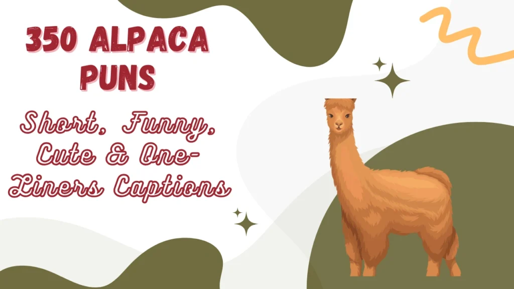 Alpaca Puns
