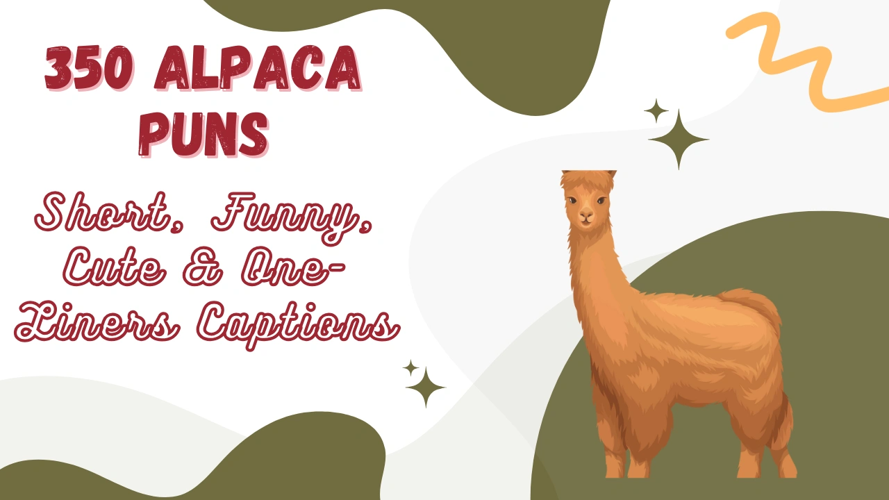 Alpaca Puns