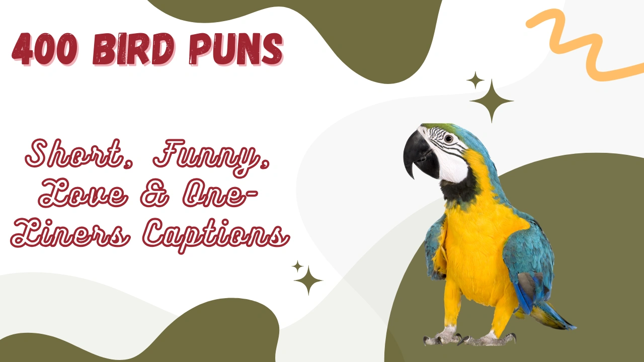 Bird Puns