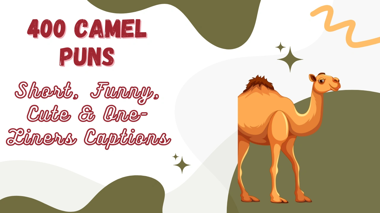 Camel Puns