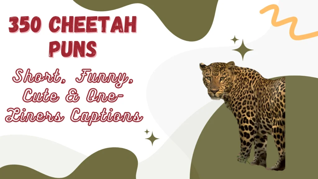 Cheetah Puns