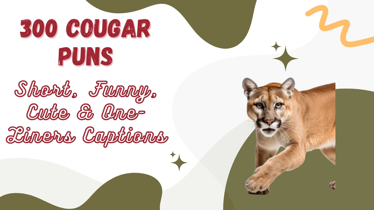 Cougar Puns