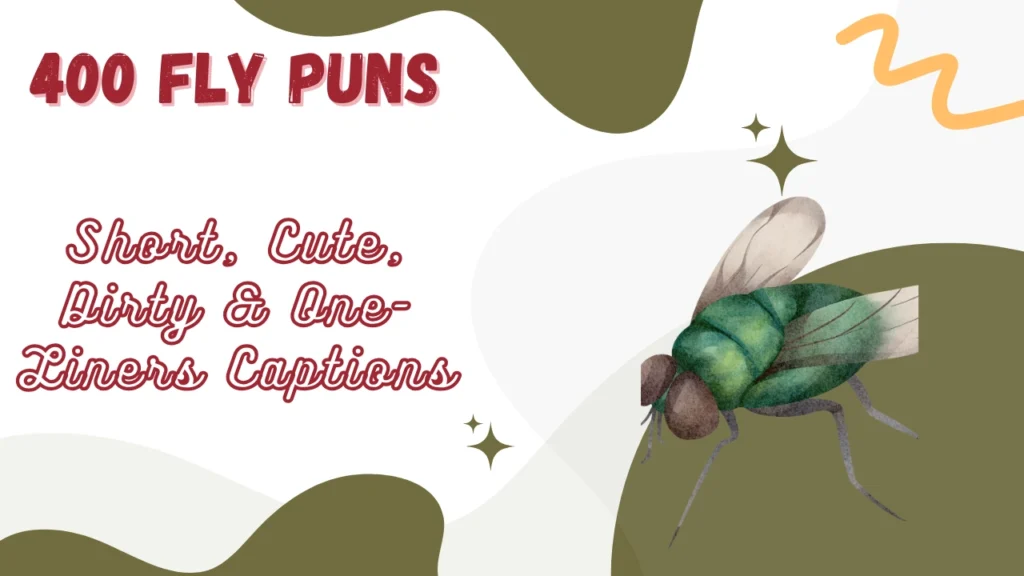 Fly Puns