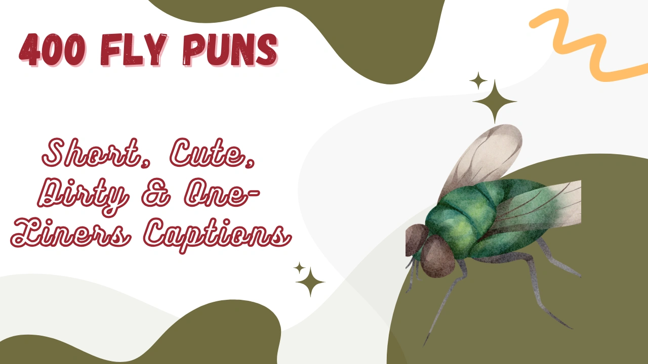 Fly Puns