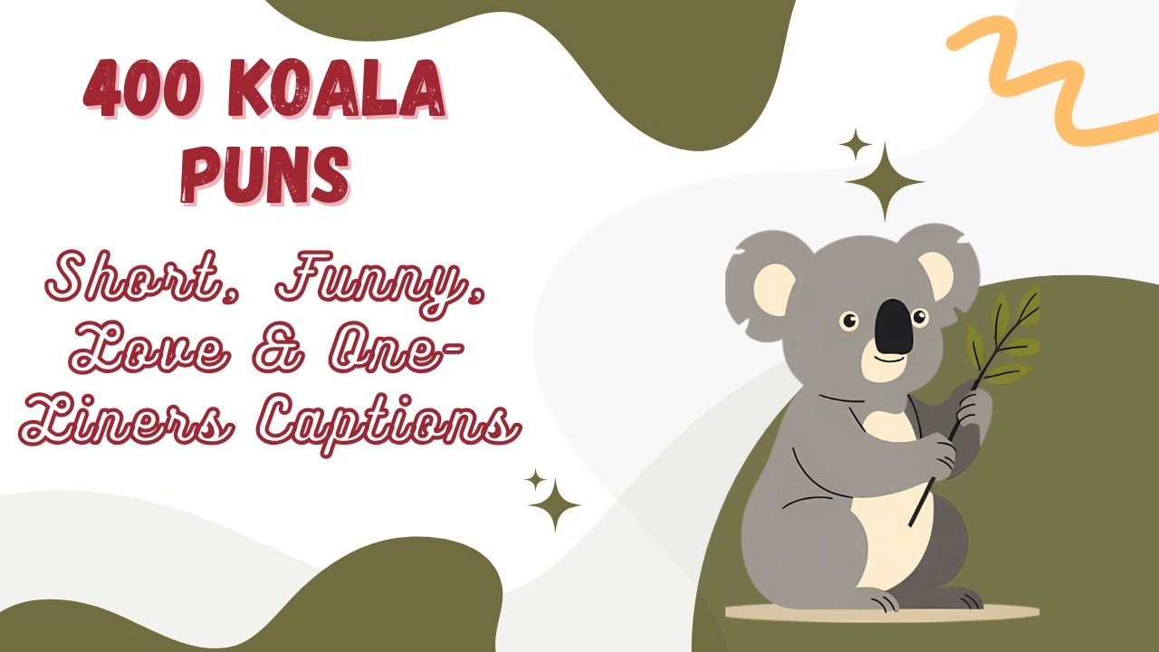 Koala puns