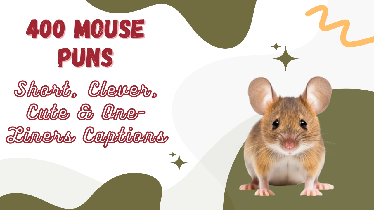 Mouse Puns