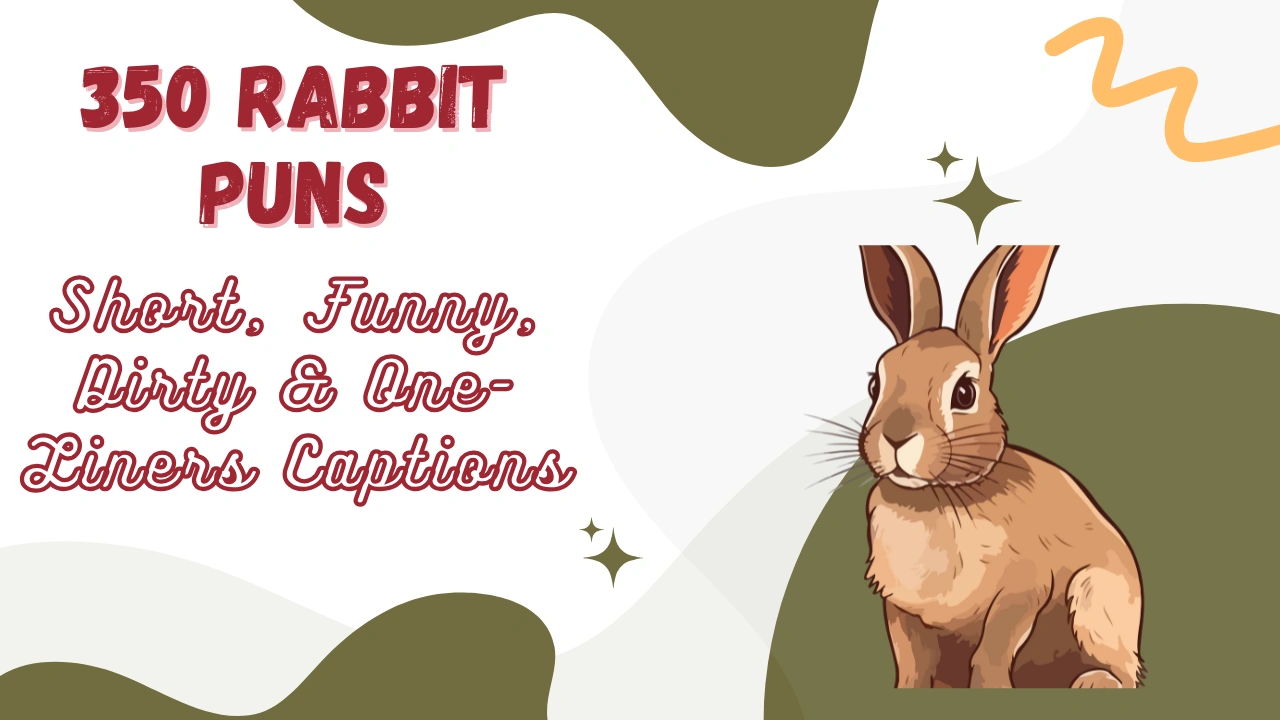 Rabbit puns (2)