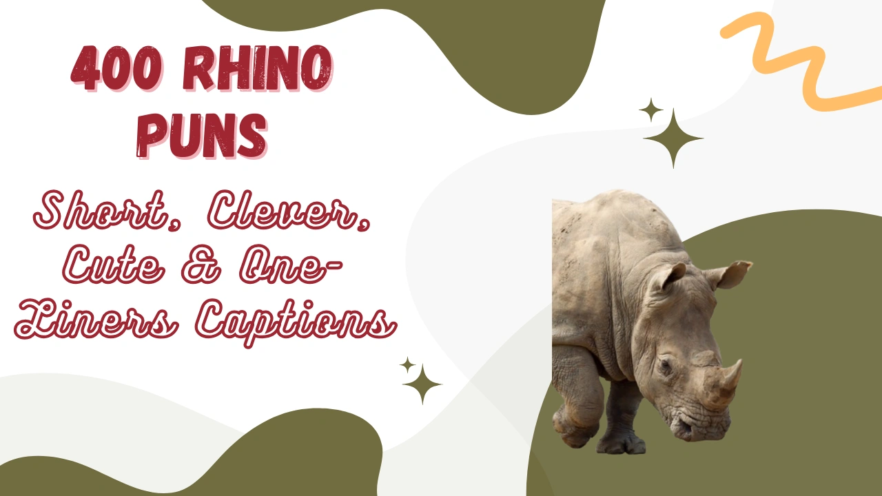 Rhino Puns