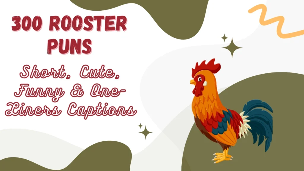 Rooster Puns