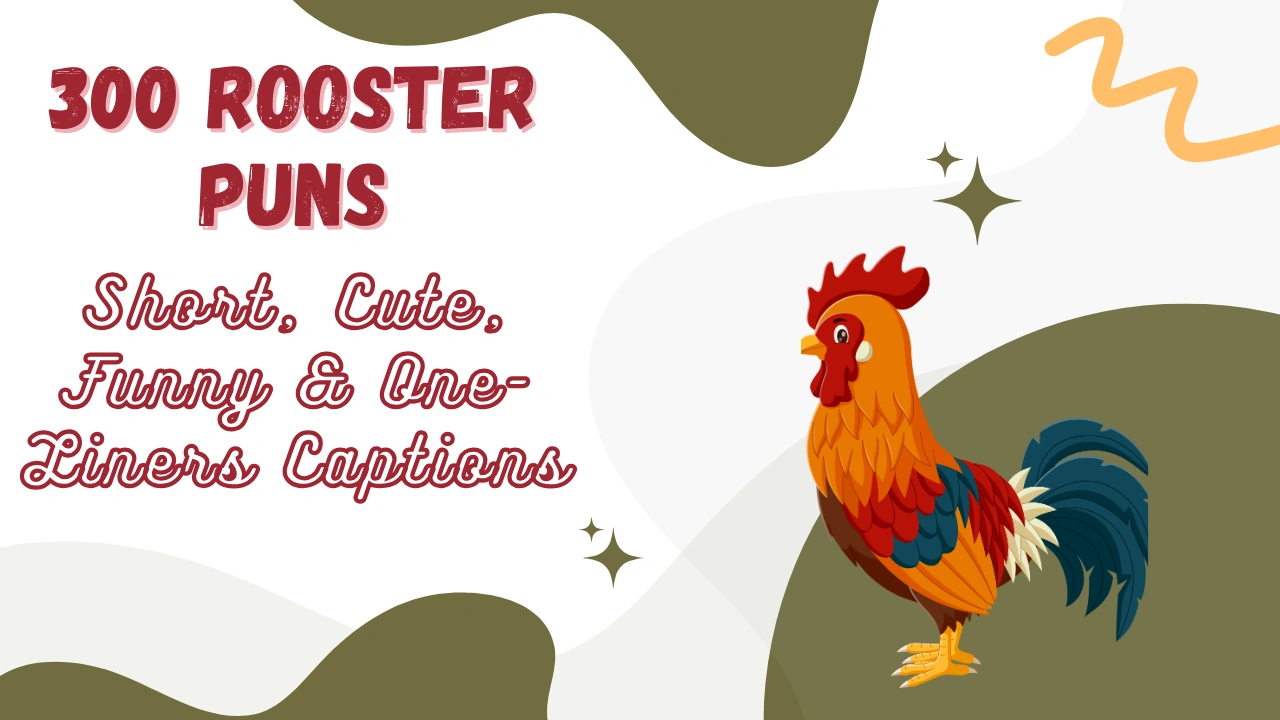 Rooster Puns