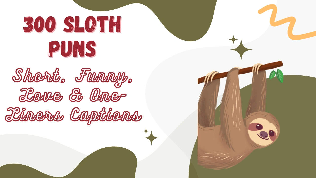 Sloth Puns