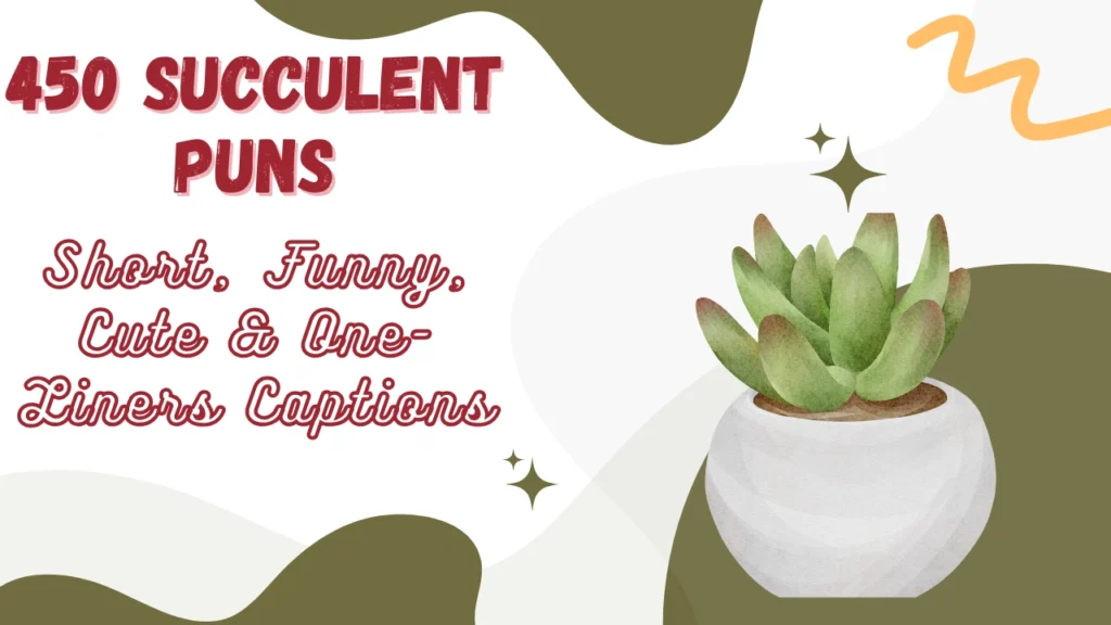 Succulent Puns