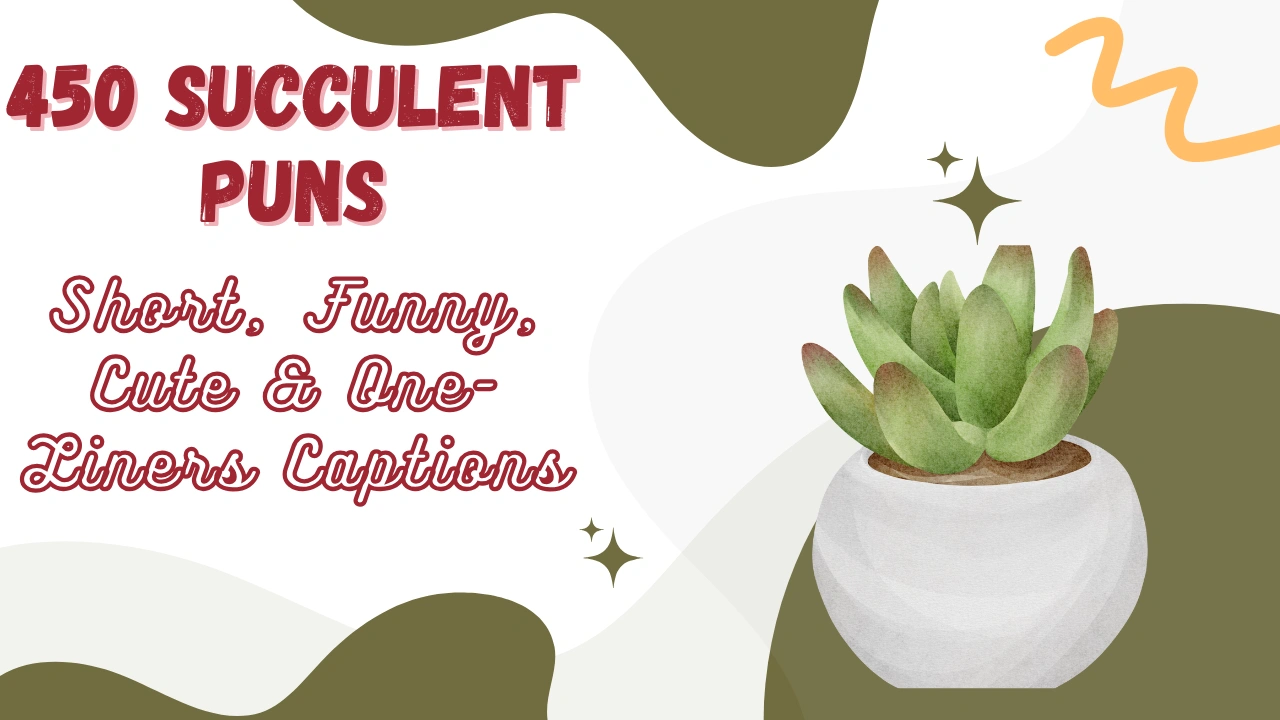 Succulent Puns