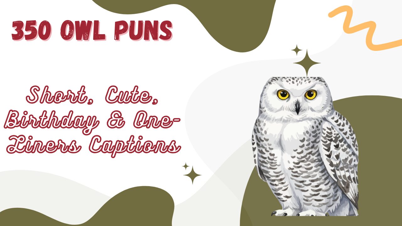 Owl Puns