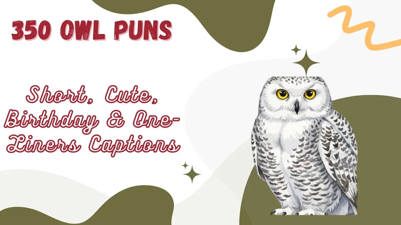 Owl Puns