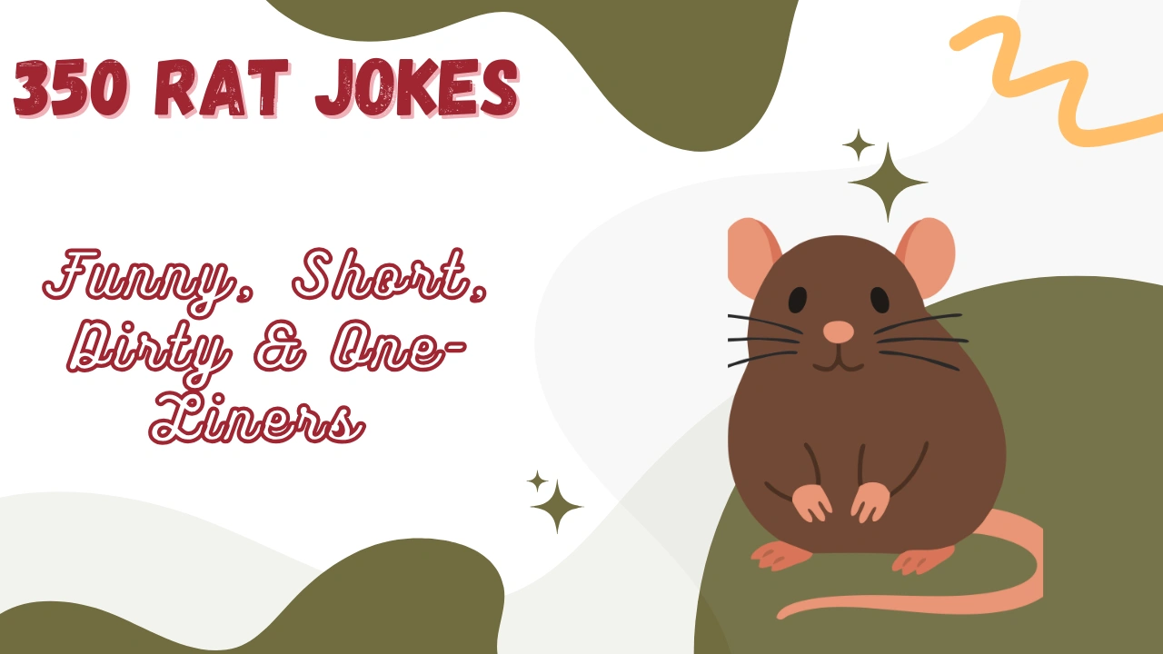 Rat Jokes