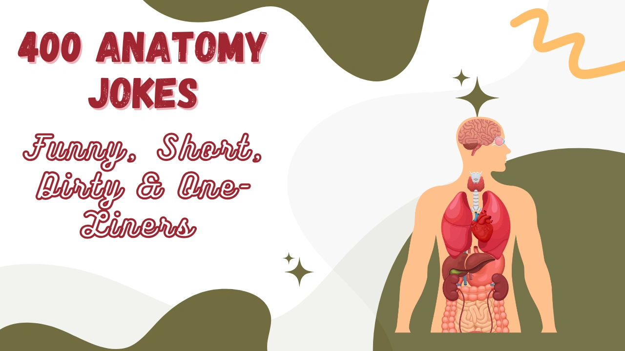 anatomy jokes